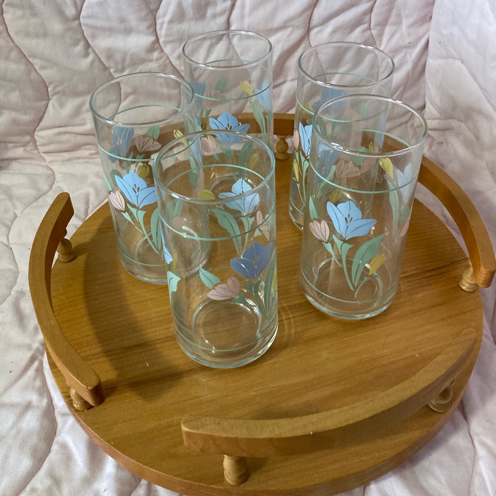 Vintage Crisa pastel floral glasses (set of 5)